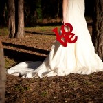 Anneli Marinovich Copyright