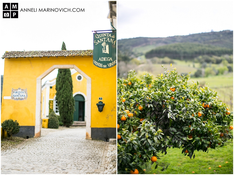 "Portugal-destination-wedding-venue" "Destination-wedding-photographer-Quinta-de-Sant-Ana"