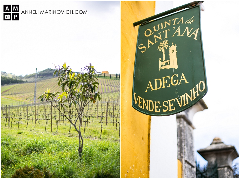 Quinta-de-Sant-Ana-Portugal-Bridal-Shoot-Anneli-Marinovich-Photography-32 "wine-estate-wedding-venue-in-Portugal"