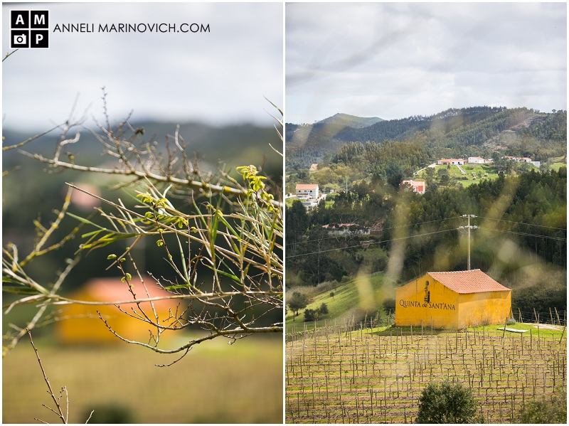 Quinta-de-Sant-Ana-Portugal-Bridal-Shoot-Anneli-Marinovich-Photography-4 "wine-estate-wedding-venue-in-Portugal"